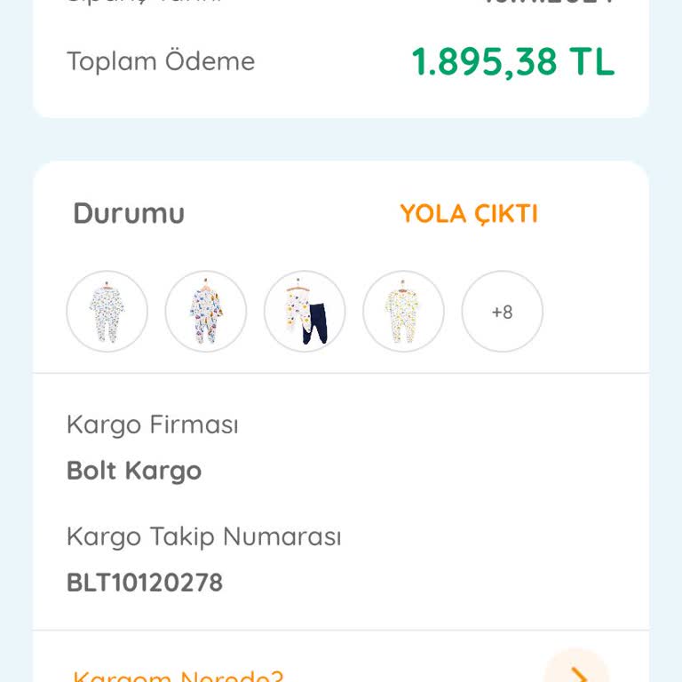 Kayıp Kargo Kabusu: Bolt Kargo'nun İletişim Sorunu