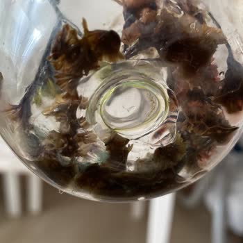 Öğretmenler Günü Hediyesi: Kullanılmadan Sorun Çıkaran Bardak