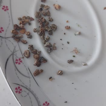 Baharat Ürününde Sağlık Tehdidi