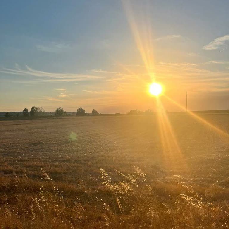 Hop Uygulamasında Promosyon Kullanım Sorunu Ve İade Belirsizliği