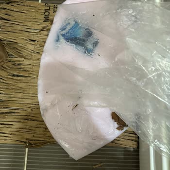 Kargoda Hasar Yok Dediler, Mahvolmuş Ürünle Kaldım