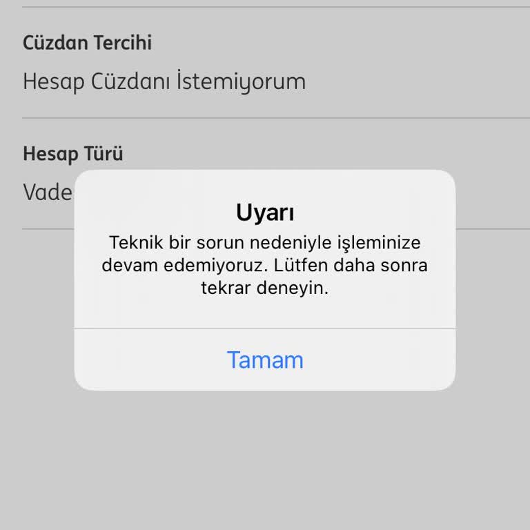 Paramı Çekemiyorum: ING Bankası'nda 3 Günlük Çile