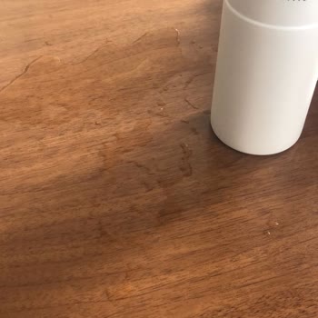 Stanley Seyahat Bardağı Sızıntı Sorunu