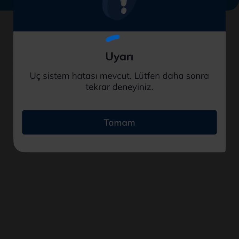 Numaramı Dondurdum, Şimdi Kullanamıyorum