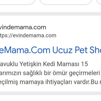 Köpek Maması Siparişimde Yaşadığım Sorun Ve İletişim Eksikliği