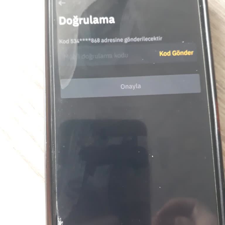Hesap Erişim Sorunu Ve Destek Eksikliği