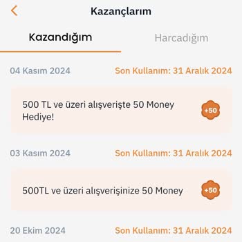 Haksız Silinen Money Puanları Ve Çözülmeyen Sorun