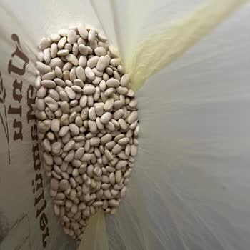 BİM'den Alınan Kuru Fasulyede Şok Böcekler