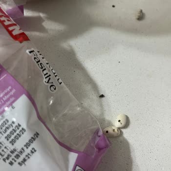 BİM'den Alınan Kuru Fasulyede Şok Böcekler