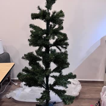 İstenen Çam Ağacı Yerine Plastik Ayaklı Seyrek Ağaç Geldi