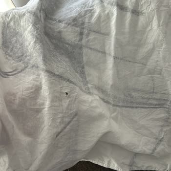 Çamaşır Makinesi Kullanımı Sonrası Yırtılan Kıyafetler Ve Yanıltıcı Servis Hizmeti