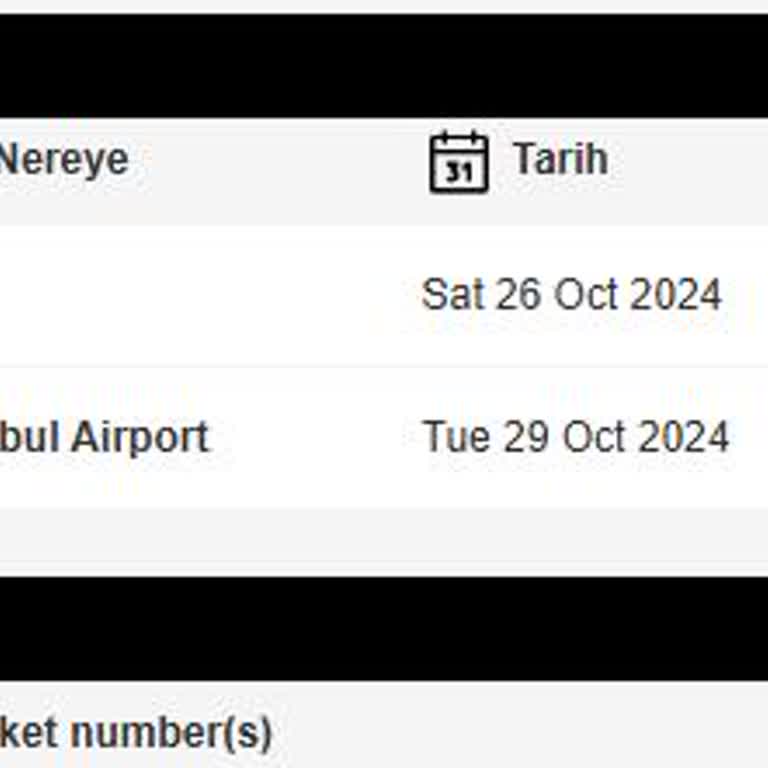 Airserbia'nın Tutarsız Uygulamaları Ve Müşteri Hizmetleri Sorunu