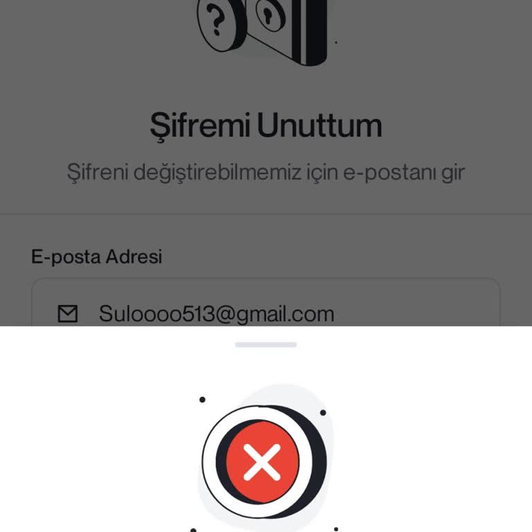 Papel Uygulamasına Giriş Sorunu Ve Müşteri Hizmetleri İlgisizliği