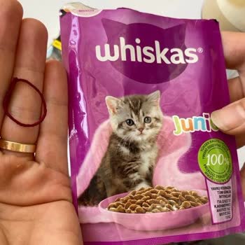 Fremdkörper im Whiskas Junior Nassfutter gefährdet die Sicherheit der Tiere