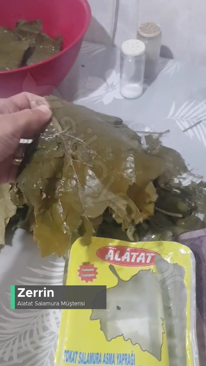 Alatat Salamura Alatat Yaprak Çok Kötü videonun kapak resmi