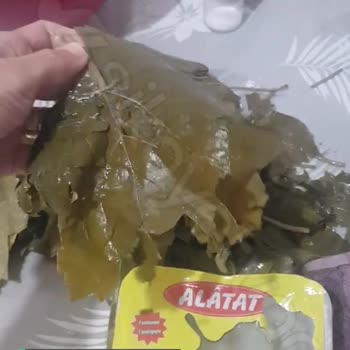 Alatat Salamura Alatat Yaprak Çok Kötü