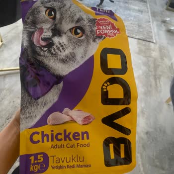 Bado Mama Yüzünden Kedilerim Tehlikede