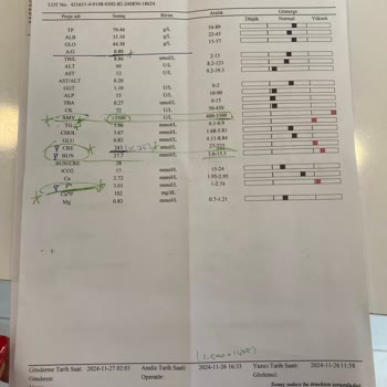 Bado Mama Yüzünden Kedilerim Tehlikede