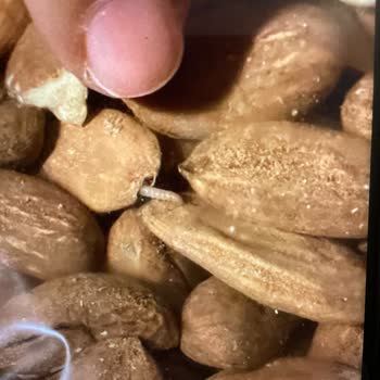 Hijyen Sorunları Ve İlgisiz Hizmet: Egeyoreselpazar.com Alışveriş Deneyimi