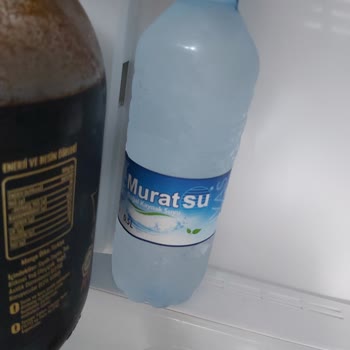 Bosch Buzdolabında Bitmeyen Sorunlar Ve Hayal Kırıklığı