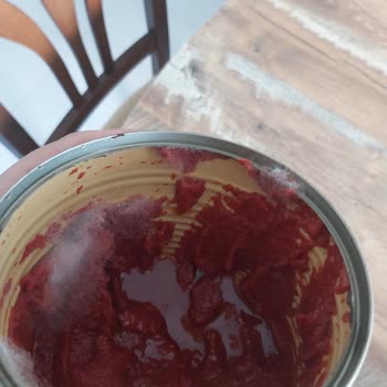 Bosch Buzdolabında Bitmeyen Sorunlar Ve Hayal Kırıklığı