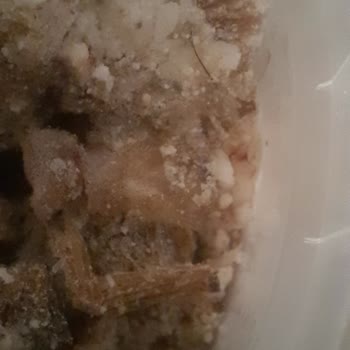 Kelle Paça Çorbasında Kıl Şoku Tüketiciye Ciddi Sorun Yaratıyor