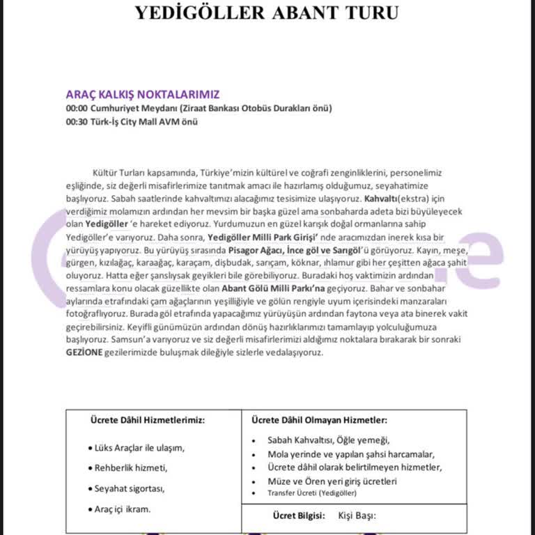 Tur Rehberi Ve Organizasyon Fiyaskosu