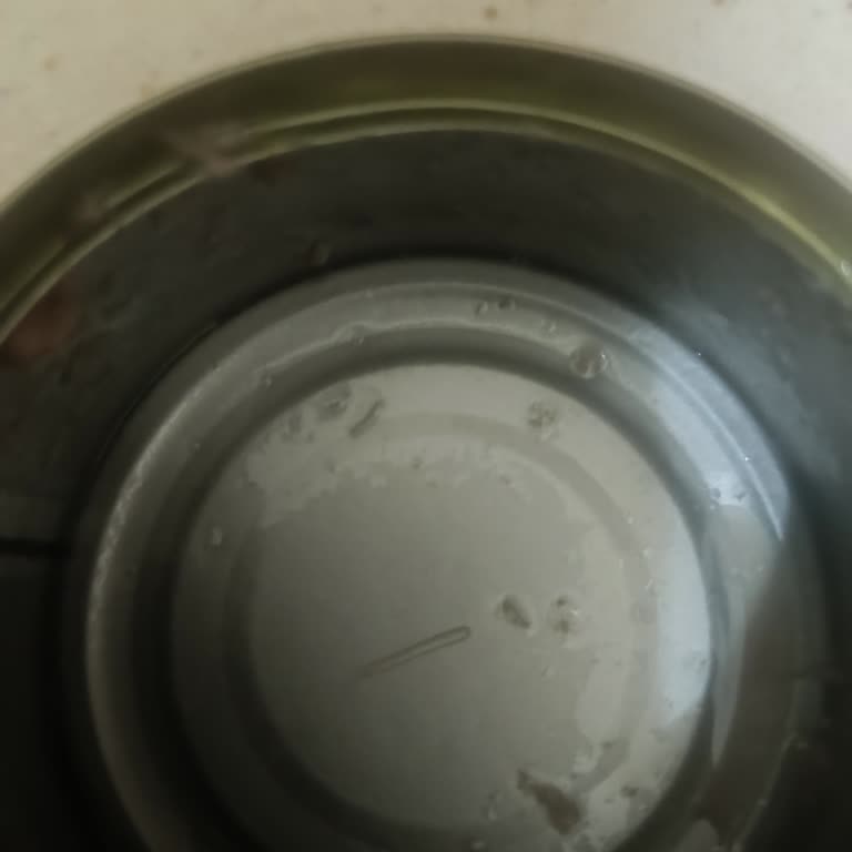 Ton Balığında Beklenmedik Kılçık Problemi