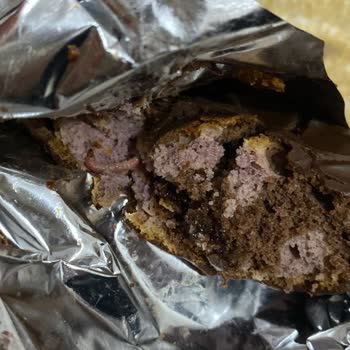 Gala Orman Meyveli Kek'ten Kurt Çıktı