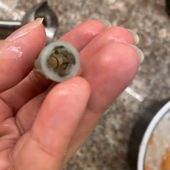 Arzum Blender: Sürekli Sorunlar Ve Hayal Kırıklığı