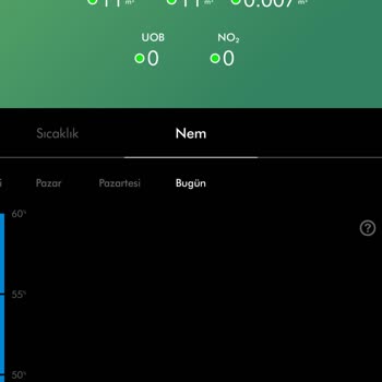 Dyson Hava Temizleme Cihazı Ve Sorumsuz Servis Deneyimi