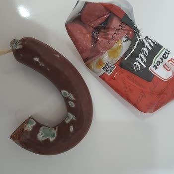 Maret Sucukta Küf Şoku Halk Sağlığı Tehlikede