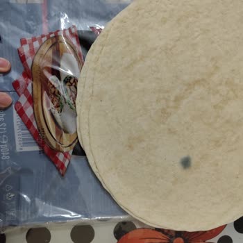 Taze Görünen Lavaşların Küf Sorunu