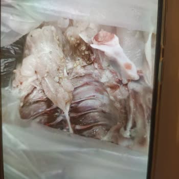 Market Alışverişinde Şok Edici Keşif