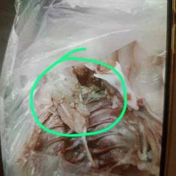 Market Alışverişinde Şok Edici Keşif