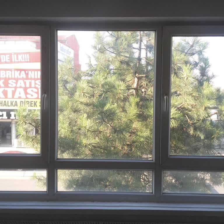 Etimesgut Belediyesi Evimdeki Dev Cam Ağacı Sorunu