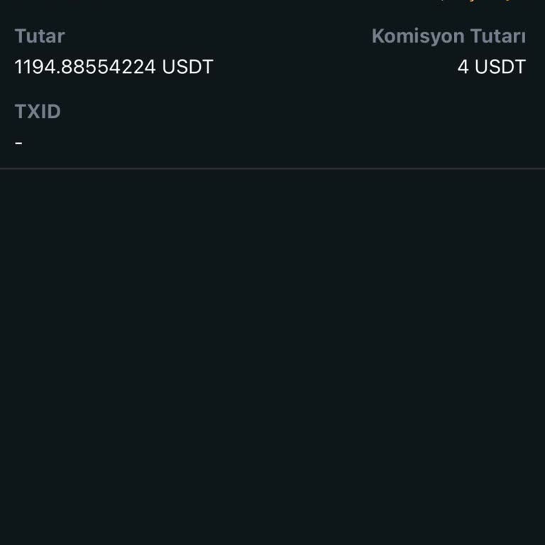 Bitci Borsası'nda USDT Çekim Sorunu Ve Destek Eksikliği