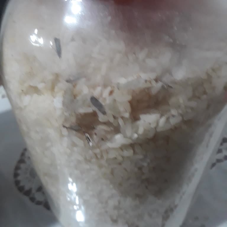 Küflü Pirinç Skandalı: BİM'in Denetim Eksikliği