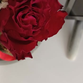 Kargo Şirketinin Sorumsuz Davranışı