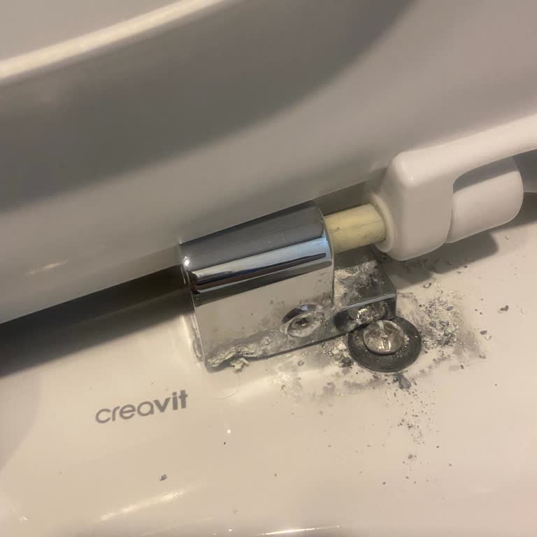 Kırılan Menteşeler Yüzünden Klozet Kapağını Çöpe Atmak Zorunda Kalmak