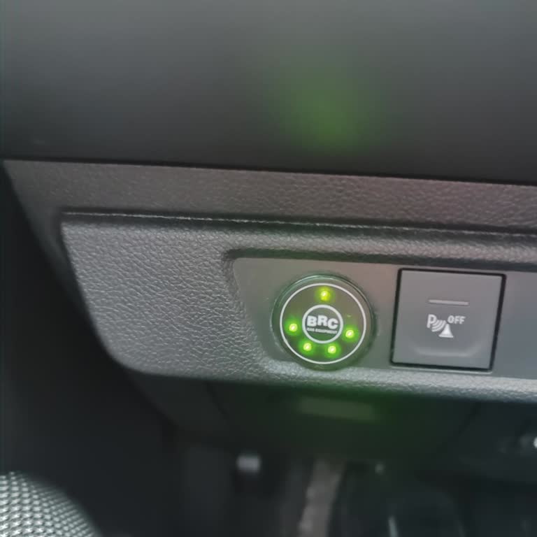 BRC Platinum LPG Sistemi Sorunu