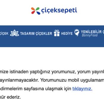 Olumsuz Yorumlar Neden Yayınlanmıyor