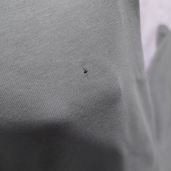 Bosch Çamaşır Makinesi Kıyafetleri Yırtıyor, Çözüm Yok