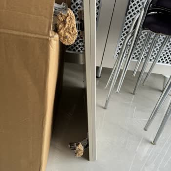 Doğtaş Mobilya Servis Gecikmesi Ve İletişim Sorunu