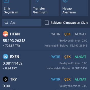 Bitexen'de Token Kaldırma Mağduriyeti