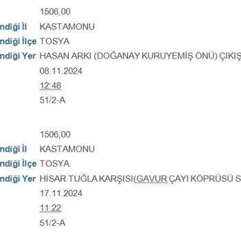Hız Sabitleyici İle Ceza Şoku: Algoritma Hatası Mı?