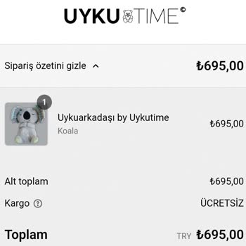 Kargo Teslim Edilmedi, İade Yapılmadı: Mağduriyet Hikayesi