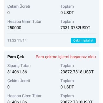 Kimlik Güvenliği Ve Yetkisiz İşlemlerle İlgili Endişeler