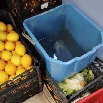 Meyve Sebzelerin Hijyen Sorunu