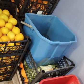 Meyve Sebzelerin Hijyen Sorunu
